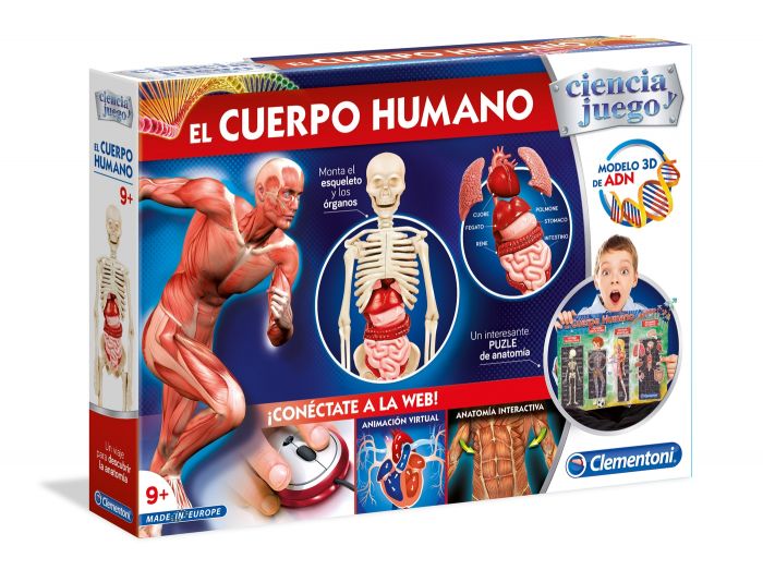 Modelos torso humano - comprar online